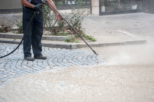 Best Driveway Pressure Washing  in Holden Heights, FL